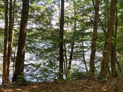 Riverfront Land for Sale - image 4