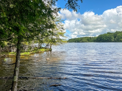 Riverfront Land for Sale - image 2