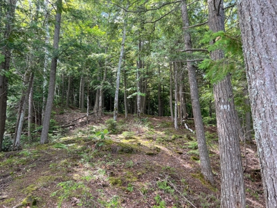 Riverfront Land for Sale - image 7