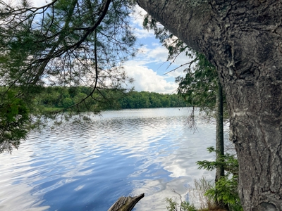 Riverfront Land for Sale - image 10