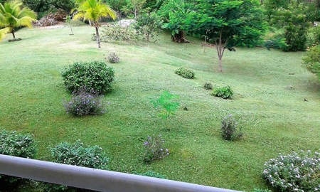 Country House with Large Lot in el Espino, San Carlos - image 26