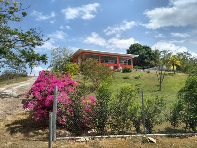 Country House with Large Lot in el Espino, San Carlos - image 11