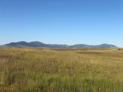 Land for Sale - image 1