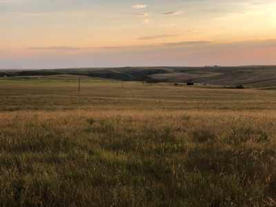Land for Sale - image 3