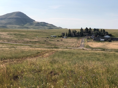 Land for Sale - image 7