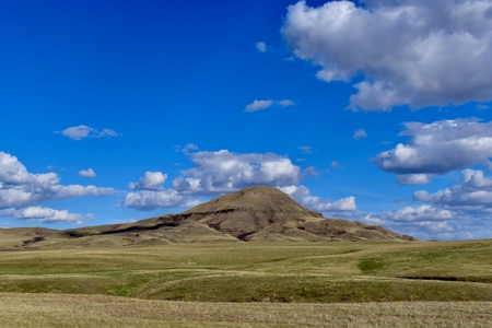 Land for Sale - image 9