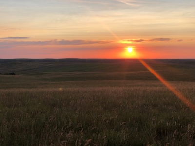 Land for Sale - image 6