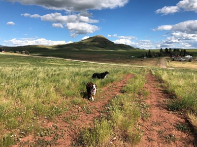 Land for Sale - image 11