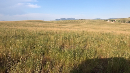 Land for Sale - image 8