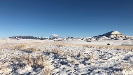 Land for Sale - image 13