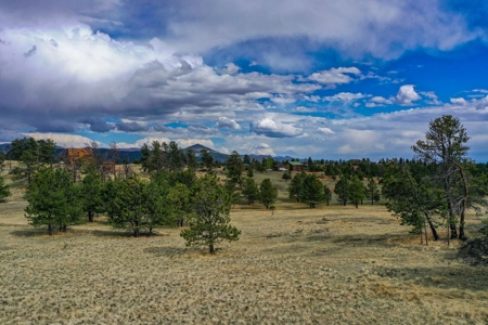 Colorado Mtn Property with Small Cabin, Water, Power & Views - image 22