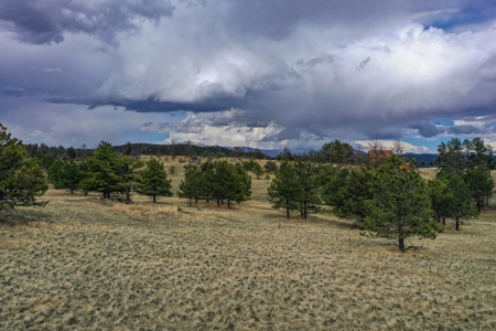 Colorado Mtn Property with Small Cabin, Water, Power & Views - image 21