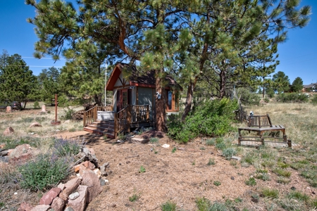 Colorado Mtn Property with Small Cabin, Water, Power & Views - image 7