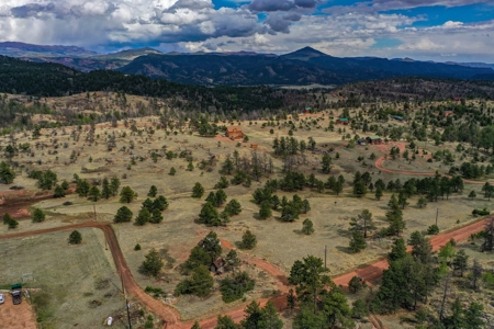 Colorado Mtn Property with Small Cabin, Water, Power & Views - image 24