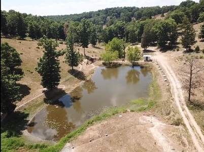 Working Cattle Farm - image 23