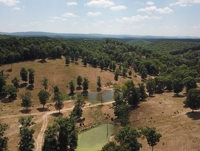 Working Cattle Farm - image 22