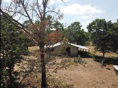 Working Cattle Farm - image 25
