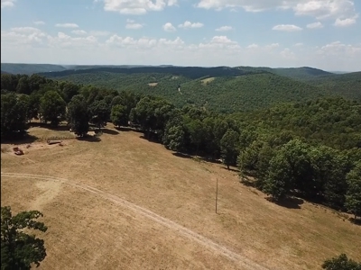 Working Cattle Farm - image 21