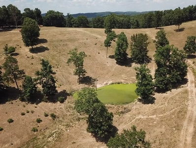 Working Cattle Farm - image 24