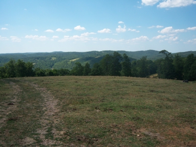 Working Cattle Farm - image 10