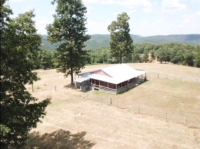 Working Cattle Farm - image 13