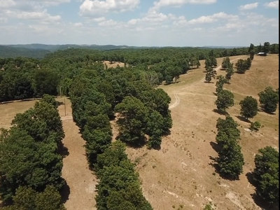 Working Cattle Farm - image 19