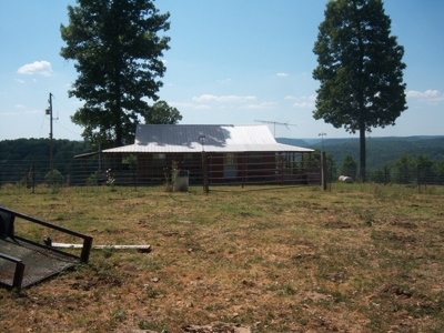 Working Cattle Farm - image 1