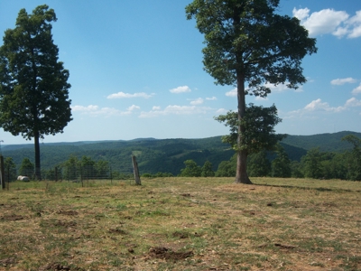 Working Cattle Farm - image 2