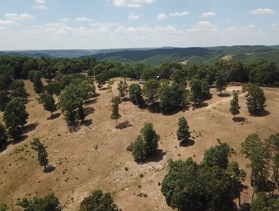 Working Cattle Farm - image 17