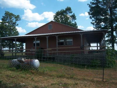 Working Cattle Farm - image 5