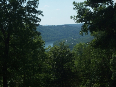 Working Cattle Farm - image 11