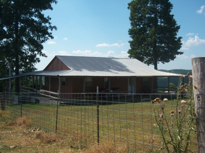 Working Cattle Farm - image 4