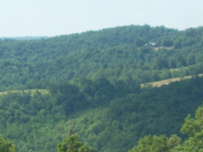 Working Cattle Farm - image 7