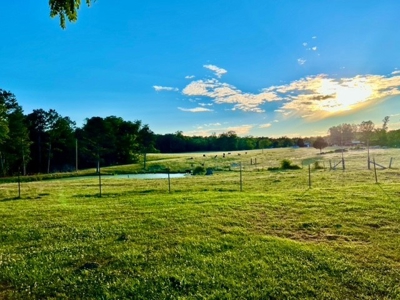 20 acre homestead/farm in Ellington - image 33