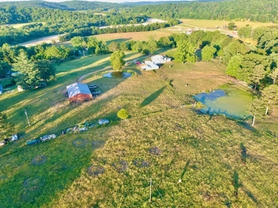 20 acre homestead/farm in Ellington - image 38
