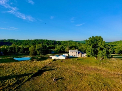 20 acre homestead/farm in Ellington - image 49