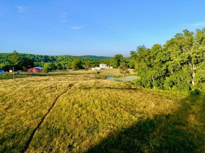 20 acre homestead/farm in Ellington - image 47