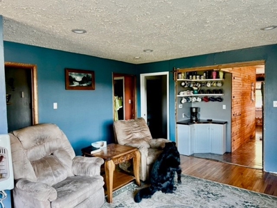 20 acre homestead/farm in Ellington - image 2