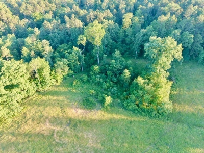 20 acre homestead/farm in Ellington - image 39