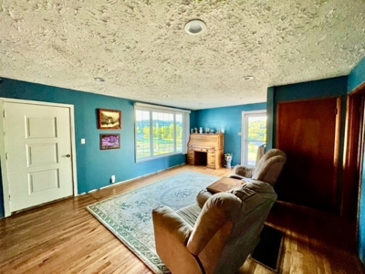 20 acre homestead/farm in Ellington - image 3