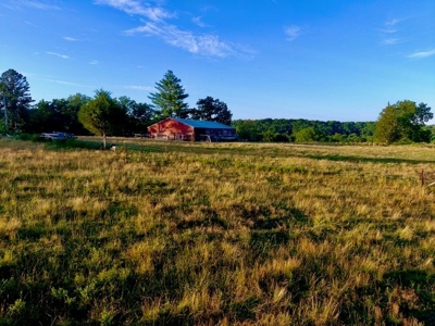 20 acre homestead/farm in Ellington - image 44