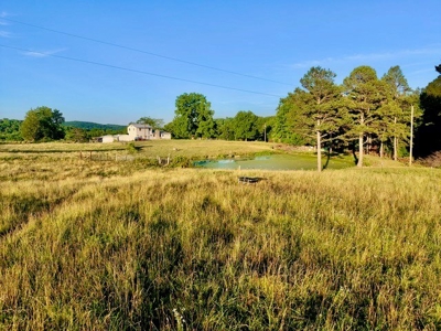 20 acre homestead/farm in Ellington - image 45
