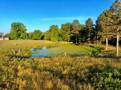 20 acre homestead/farm in Ellington - image 43