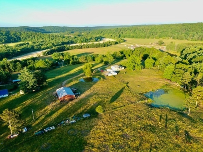 20 acre homestead/farm in Ellington - image 41