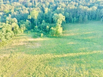 20 acre homestead/farm in Ellington - image 37