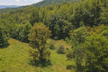 Recreational Land for Sale in Woolwine VA - image 11