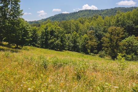 Recreational Land for Sale in Woolwine VA - image 23