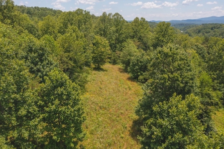 Recreational Land for Sale in Woolwine VA - image 12