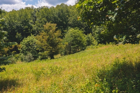 Recreational Land for Sale in Woolwine VA - image 27