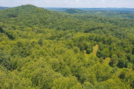 Recreational Land for Sale in Woolwine VA - image 16